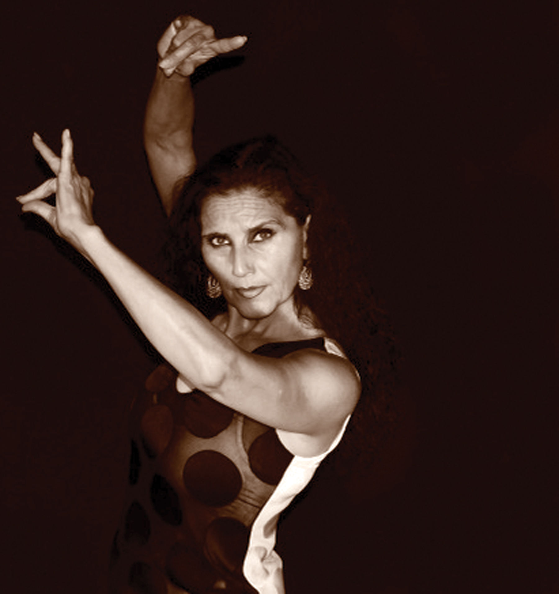 Journey Flamenco Concert image 3
